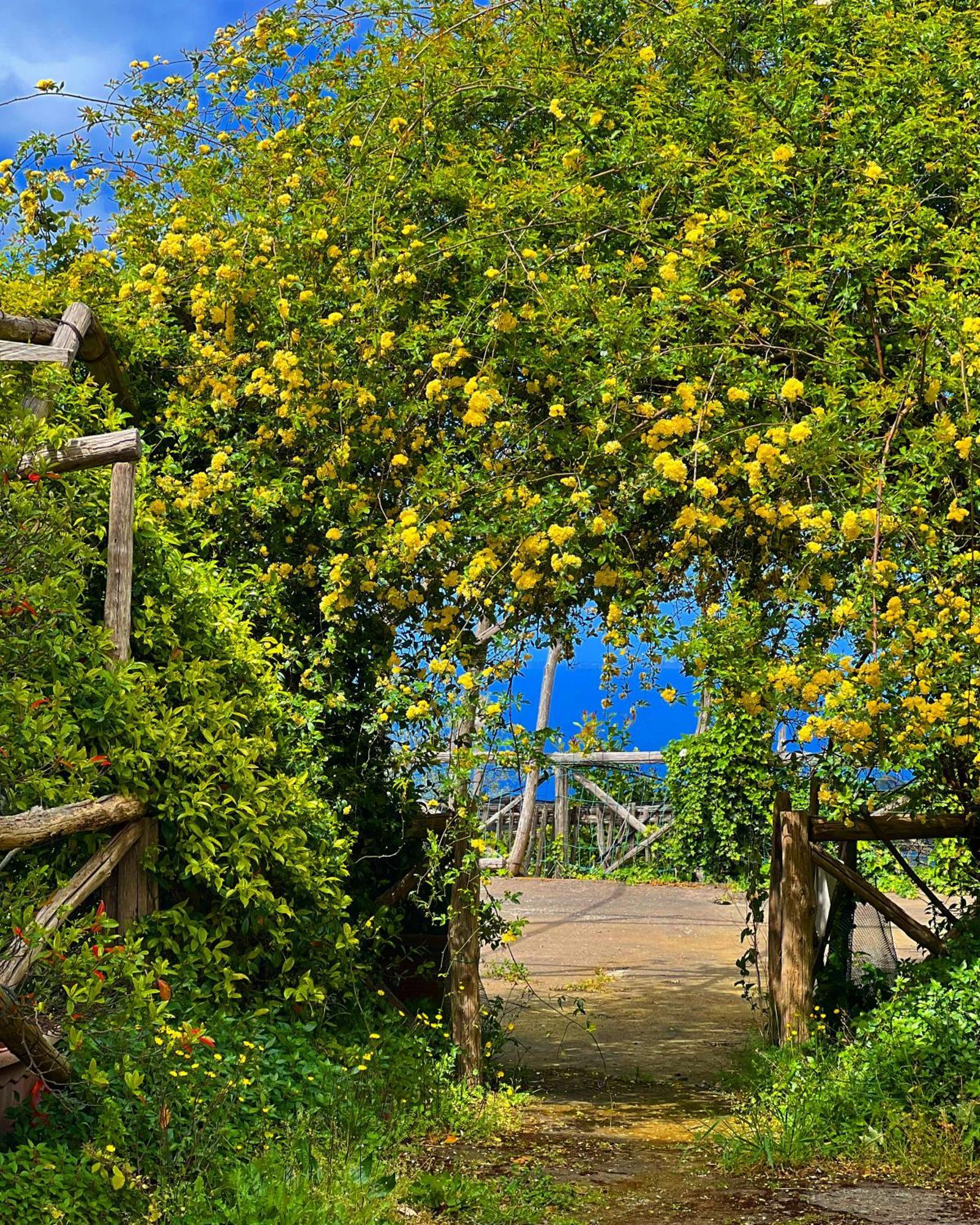 Agriturismo Le Grottelle Villa Sant'Agata sui due Golfi Bagian luar foto