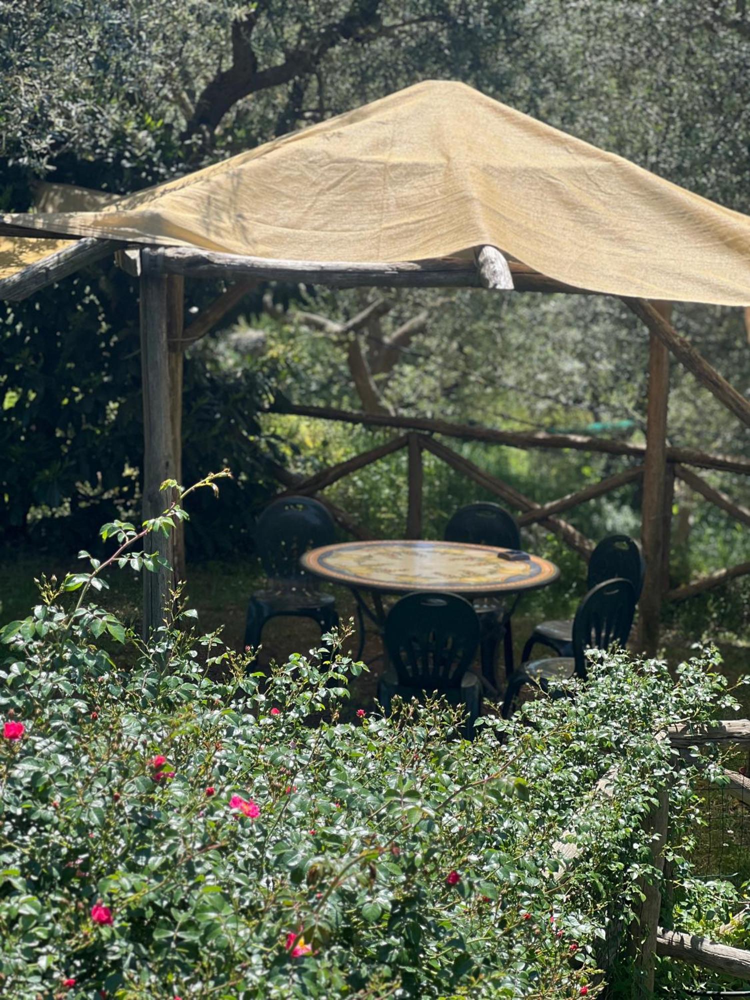 Agriturismo Le Grottelle Villa Sant'Agata sui due Golfi Bagian luar foto